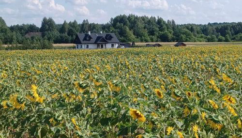 Gospodarstwo Agroturystyczne ŻARNOWIEC - Foto 2