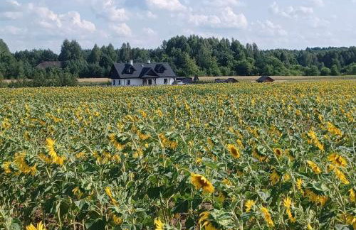 Gospodarstwo Agroturystyczne ŻARNOWIEC - Foto 2
