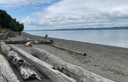 Spacious Retreat 3 Miles to Airport 12 to Seattle - Foto 36