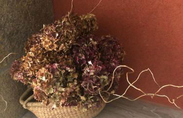 LA MAISON DU PORT - Foto 20