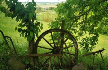 Azienda Agricola Tenuta del Barone - Photo 27