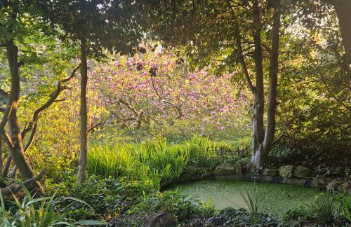 Grand Elegant Georgian Villa Wye Valley National Park - Foto 58