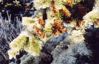 Ferienwohnung Splitek - Foto 33