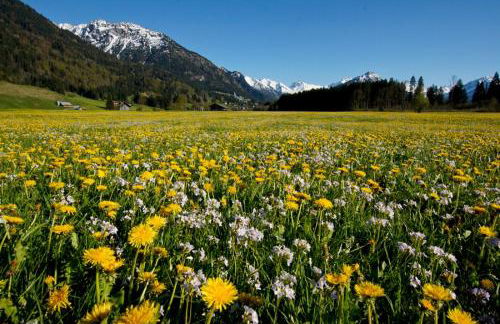 Haus Sylta - Foto 47