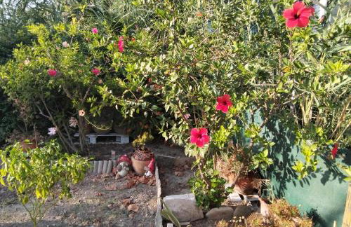 Dora's House - Photo 37