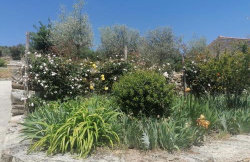 LÍRIOS DA GRANJA - CASA DE CAMPO - Foto 8