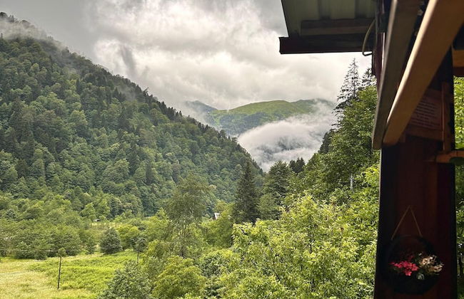 Meydan Şelale Dağ Evi - Foto 48