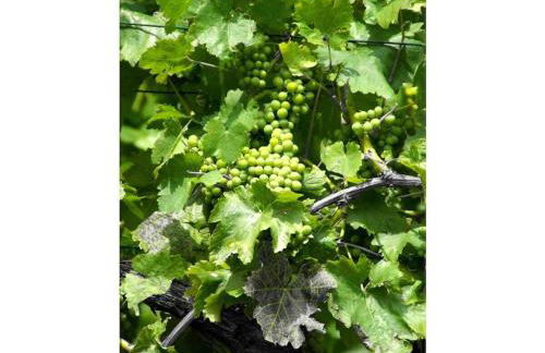 One-bedroom apartment - Foto 27