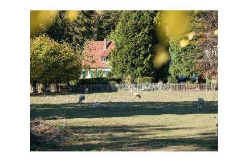 Holiday Apartment Kutscherstube - Foto 11