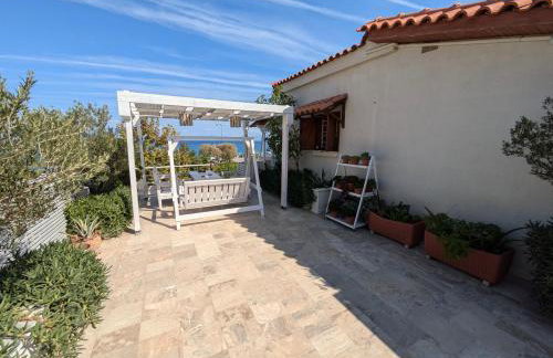 Sea View Roof Garden - Foto 5