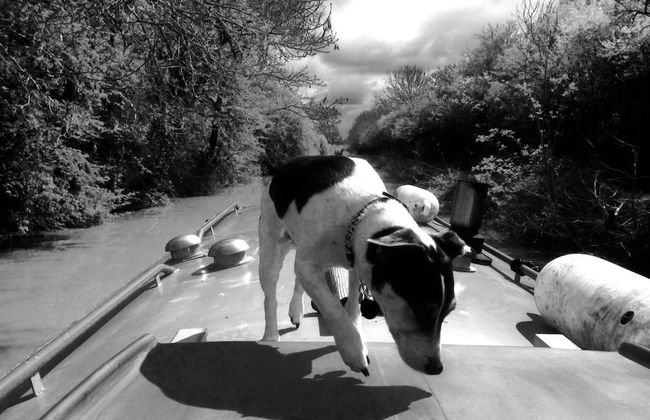 Boutique Bijoux Garden Flat in Vibrant Oval - Foto 29