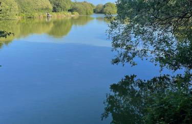 Cosy north Devon lodge within Hartland forest - Foto 25