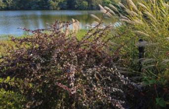 Les Clés Nature Studio 41 - Foto 35