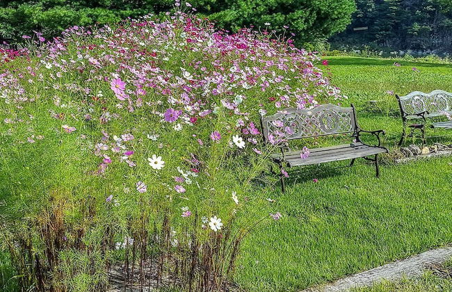 Star Sonata Pension - Foto 65