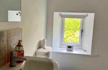 Abbeville - Photo 10