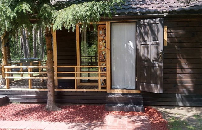 Metai Miške&a Year in the Forest - Photo 26