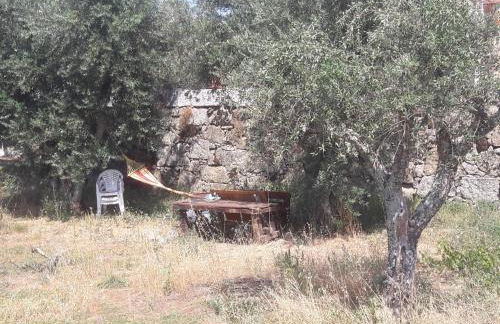 Casa do Beirado - Foto 23