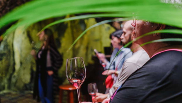 Visita a las Bodegas Viñátigo - Foto 2, Disfrutando de la cata de vinos