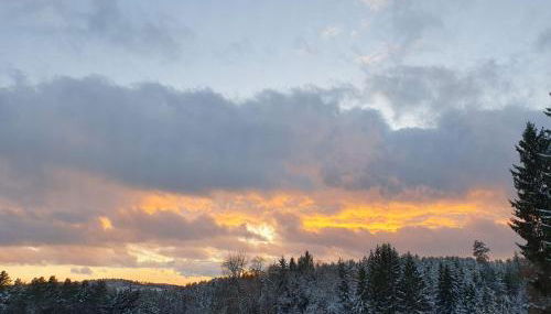 Schreinerhof - Foto 5