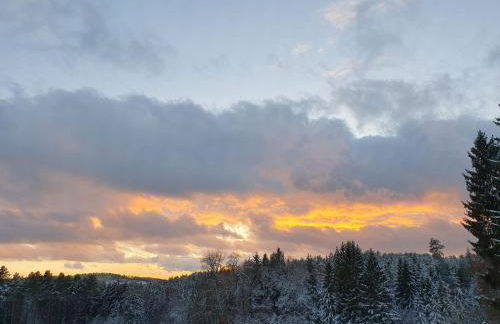 Schreinerhof - Foto 5