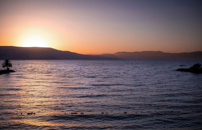 Mia Glamping Kinneret - Foto 21