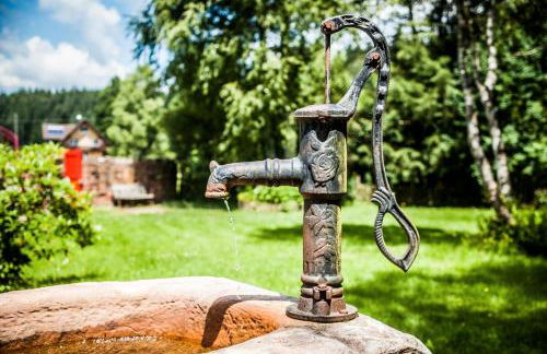 Ferienwohnung am Hirschenmoor - Foto 30