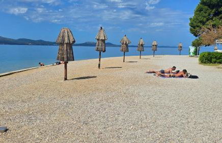 Suzy's botanica - Foto 17