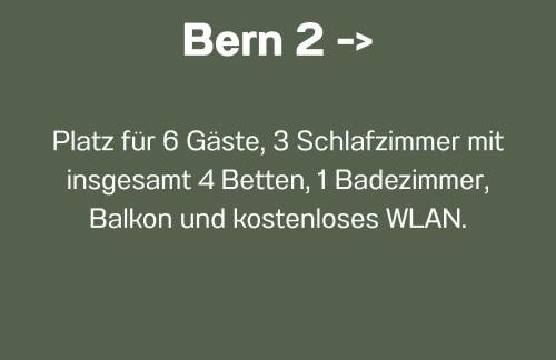 Ferienwohnungen Bernsdorfer Straße Chemnitz - zentrumsnah, teilweise mit Balkon oder Terrasse, große Parkanlage - ideal für Familien, Paare und Geschäftsleute - Foto 13