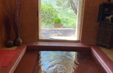 Domaine Panciarella - Foto 19