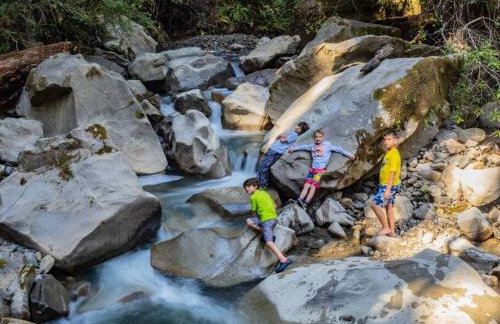 Driftwood Lodge~5 BR/7 Bath~30-acre Private Estate - Foto 28