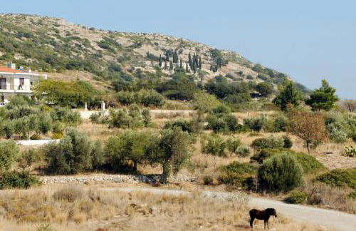 Apollon Resort - Foto 9