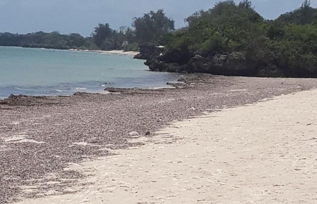 Shamba La Salama - Foto 17