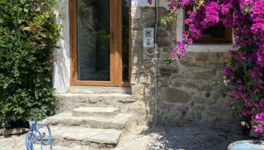 Moani - Foto 1, Garden