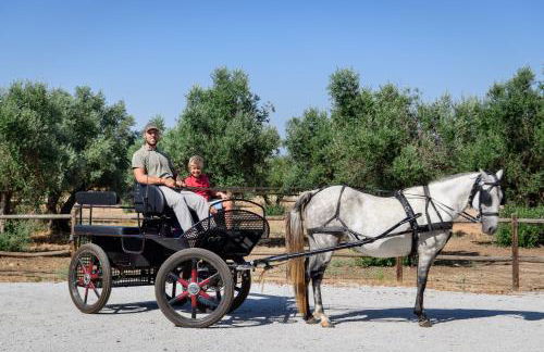 A Casa do Governador - Foto 68