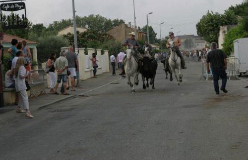 Mas Viala - Photo 21