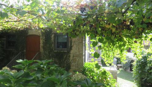 T0 Eira Trás - Foto 1, Garden