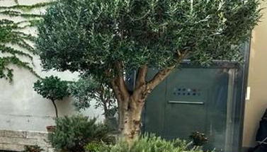 Le Tre Ca', Ca' Cecilia, Ca' Nina, Ca' Vittoria - Foto 4