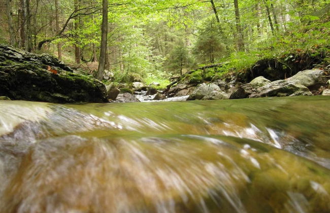 Ferienwohnungen Thanner - Foto 30