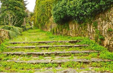 The Olive Tree House - Foto 66