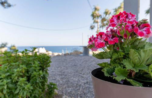 Aegean Sunrise View - Foto 37