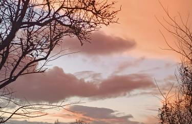 Maison de charme - Foto 61