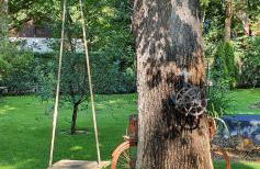 Ferienhaus Schatz - Foto 18