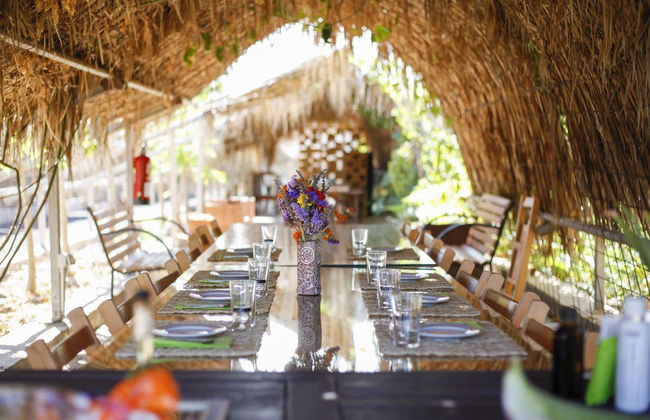 Aloe Vera Farm Tour - Foto 12