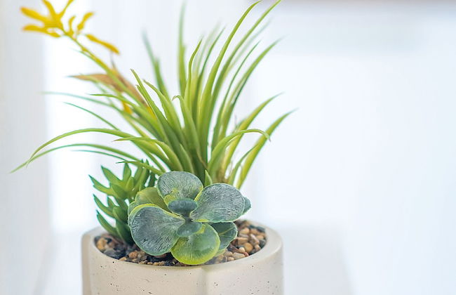 H&B apartments Chikovani - Foto 35