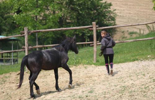 Agriturismo Le Querce del Vareglio - Foto 8