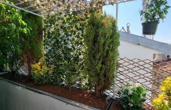 R.D.V. Duplex Nice Center - Foto 13