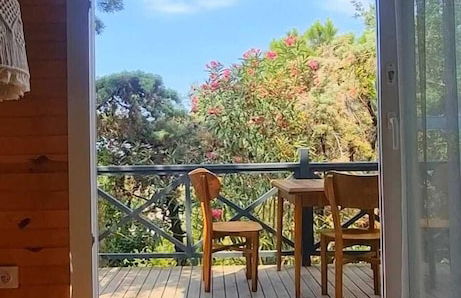 Sole Foca ( Ages 12+ ) - Foto 45