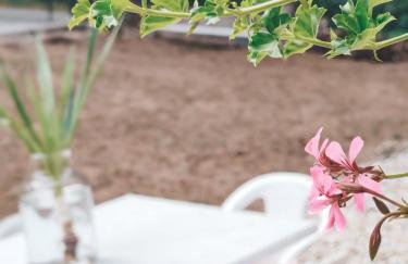 Villa-Apartments Bognar - Photo 68