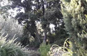 La Cerasa - il Lago fuori - Foto 70