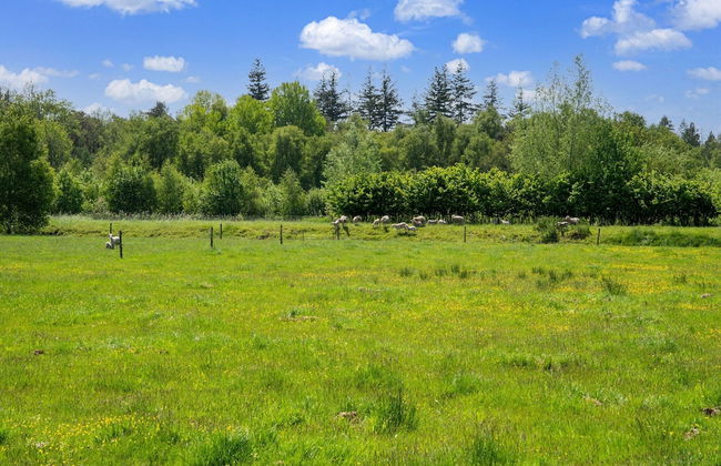 Cottage in Dwingelderveld With Scenic Views - Foto 39